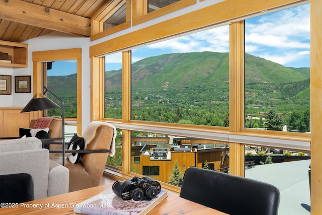 809 S Aspen St Unit 8, Aspen, CO 81611 - sunroom / solarium featuring a mountain view, wood ceiling, and wood finished floors
