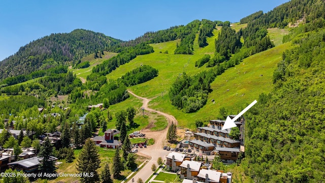 809 S Aspen St Unit 8, Aspen, CO 81611 - aerial view of a forest and mountains