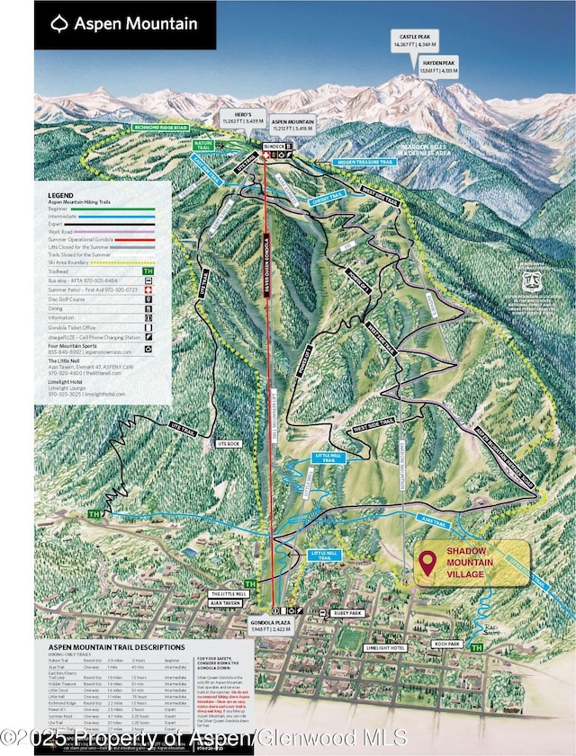 809 S Aspen St Unit 8, Aspen, CO 81611 - map of property / related area
