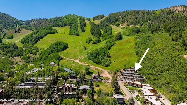 809 S Aspen St Unit 8, Aspen, CO 81611 - aerial view of a forest and a mountainous background