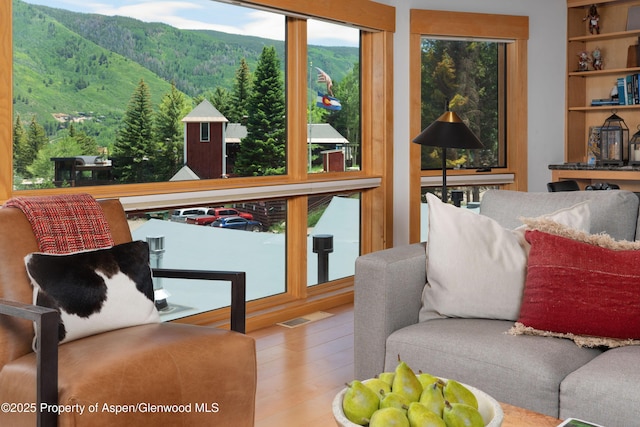 809 S Aspen St Unit 8, Aspen, CO 81611 - living area featuring a mountain view, wood finished floors, and a wooded view