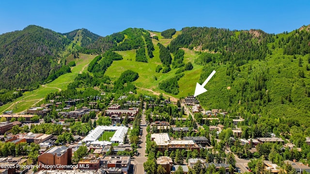 809 S Aspen St Unit 8, Aspen, CO 81611 - bird's eye view of a heavily wooded area and a mountainous background