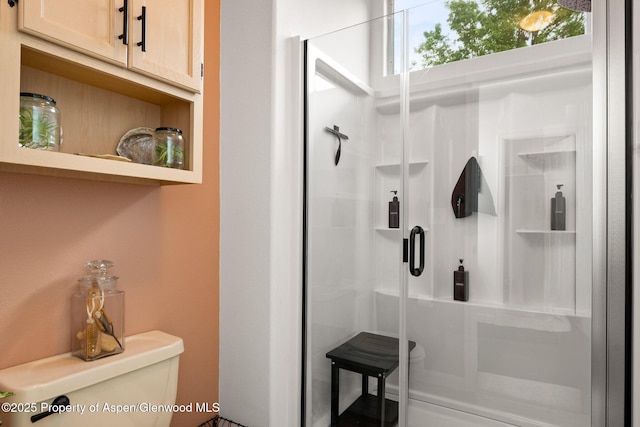 100 Limberpine Cir, Parachute, CO 81635 - bathroom with a stall shower and toilet