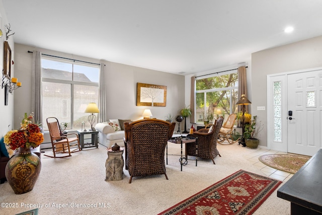 100 Limberpine Cir, Parachute, CO 81635 - view of living area