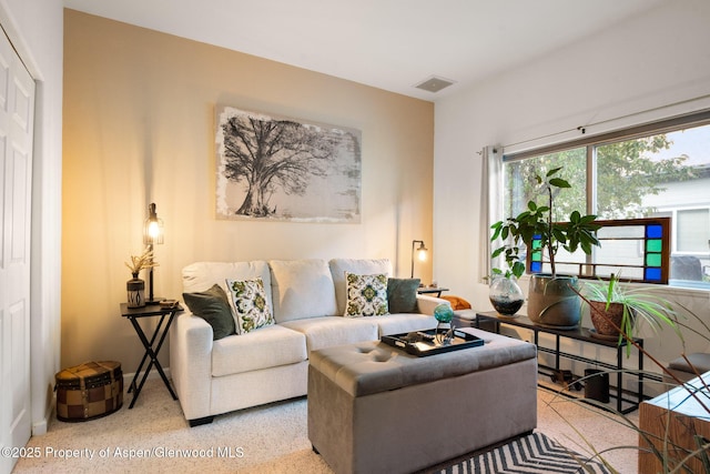 100 Limberpine Cir, Parachute, CO 81635 - living room featuring speckled floor