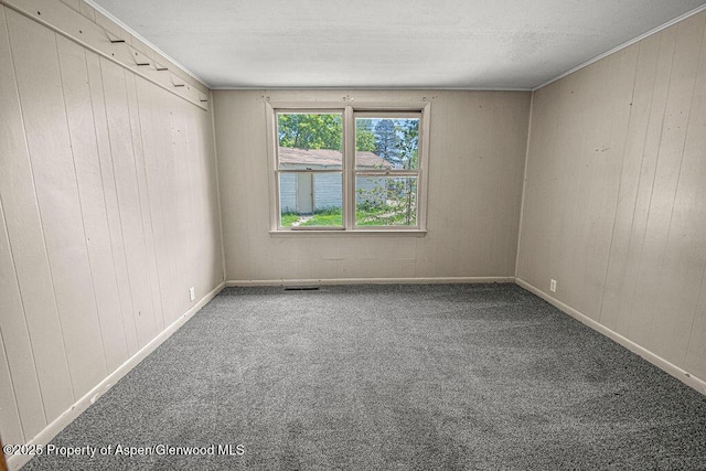 415 Tucker St, Craig, CO 81625 - empty room with carpet and wood walls