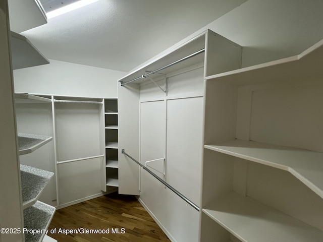 spacious closet featuring dark wood-type flooring