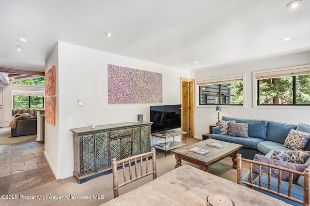 851 Ute Ave Unit B, Aspen, CO 81611 - living room featuring stone tile flooring and recessed lighting