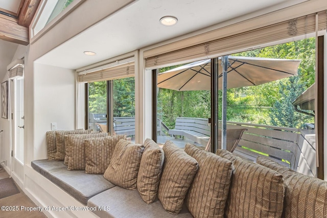 851 Ute Ave Unit B, Aspen, CO 81611 - living room featuring healthy amount of natural light and recessed lighting