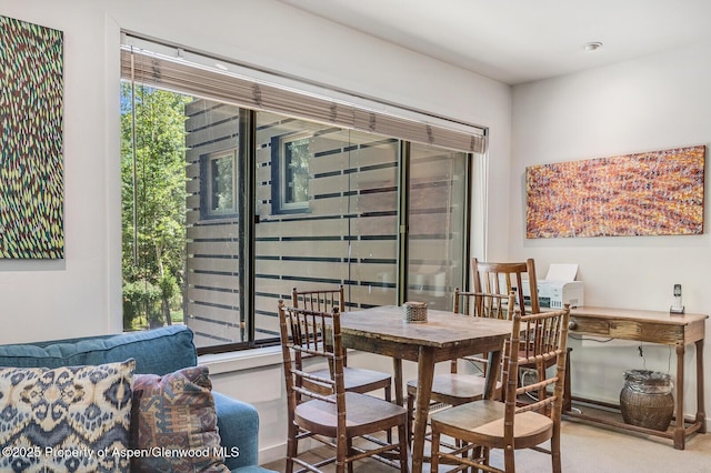 851 Ute Ave Unit B, Aspen, CO 81611 - view of carpeted dining area
