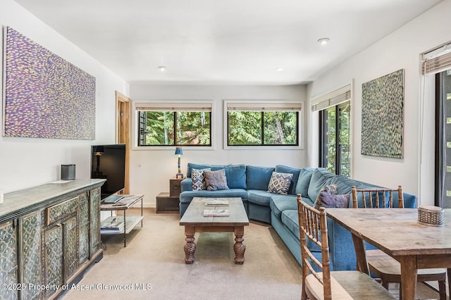 851 Ute Ave Unit B, Aspen, CO 81611 - living room with light colored carpet, plenty of natural light, and recessed lighting