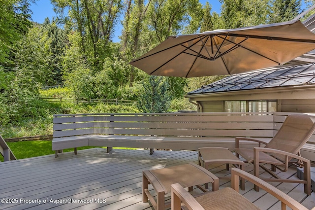 851 Ute Ave Unit B, Aspen, CO 81611 - view of wooden deck