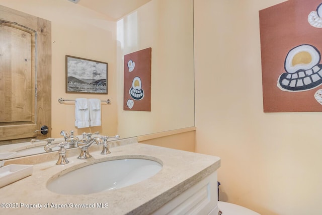 851 Ute Ave Unit B, Aspen, CO 81611 - bathroom featuring vanity and toilet
