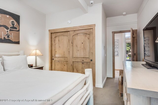 851 Ute Ave Unit B, Aspen, CO 81611 - bedroom featuring carpet floors and baseboards
