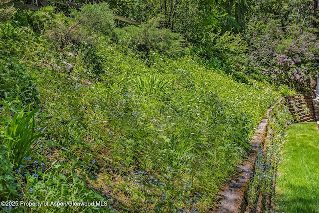 851 Ute Ave Unit B, Aspen, CO 81611 - view of undeveloped land