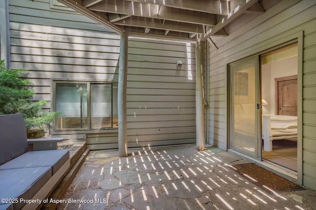 851 Ute Ave Unit B, Aspen, CO 81611 - view of patio / terrace