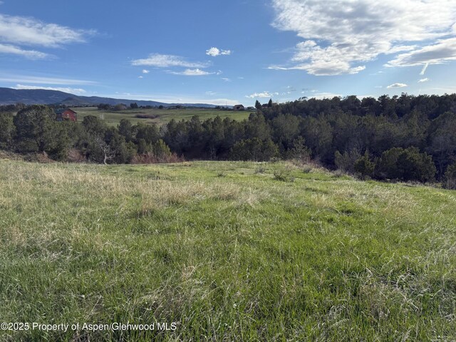 14495 Scott Loop, Collbran, CO 81624