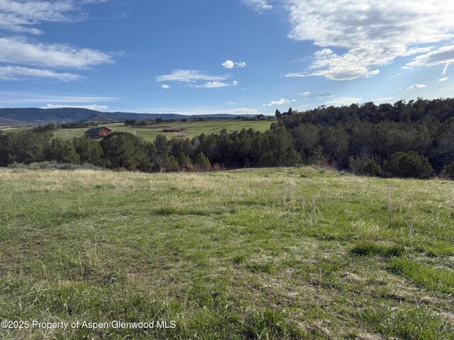 14495 Scott Loop, Collbran, CO 81624