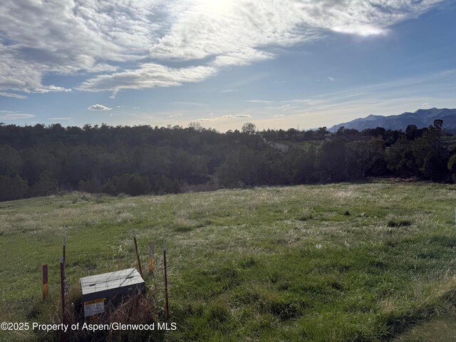 14495 Scott Loop, Collbran, CO 81624