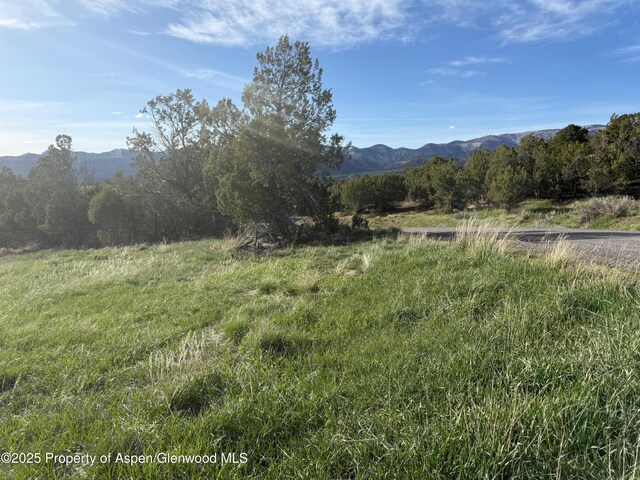14495 Scott Loop, Collbran, CO 81624