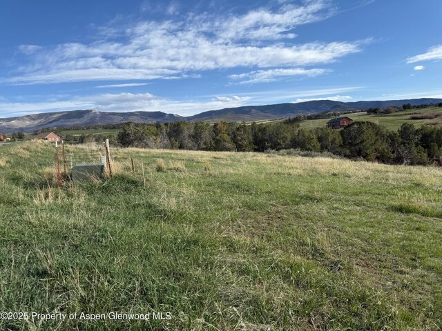 14495 Scott Loop, Collbran, CO 81624