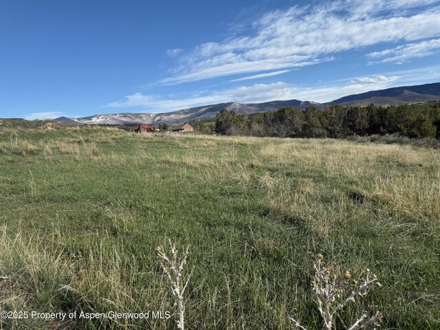 14495 Scott Loop, Collbran, CO 81624
