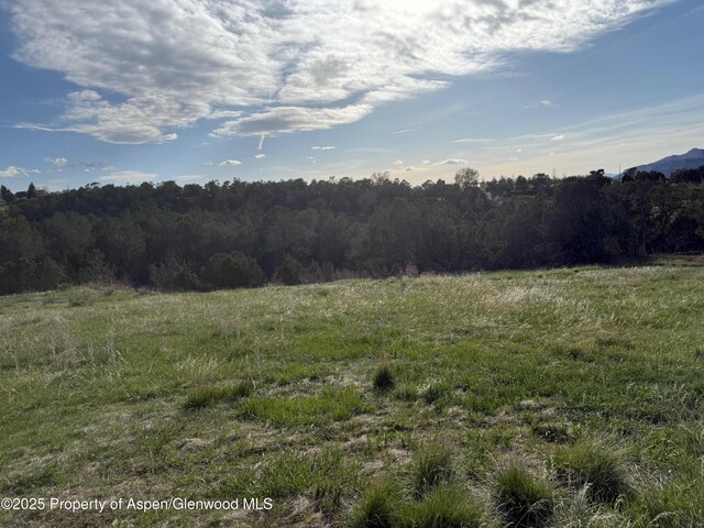 14495 Scott Loop, Collbran, CO 81624