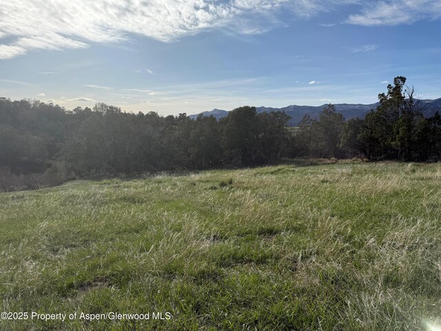 14495 Scott Loop, Collbran, CO 81624