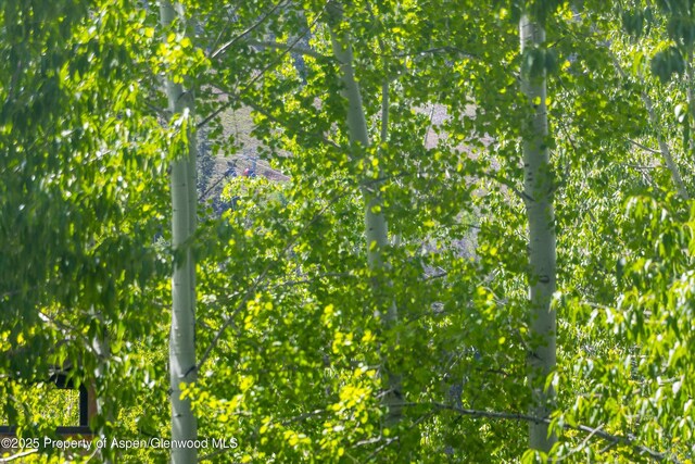 250 S Original St Unit B, Aspen, CO 81611 - view of undeveloped land