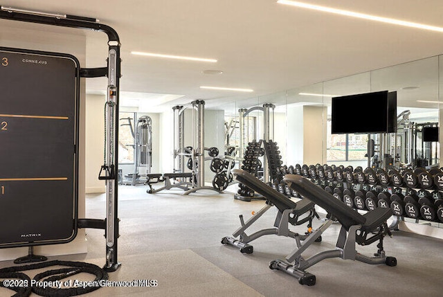 77 Wood Rd Unit 507-13, Snowmass Village, CO 81615 - view of exercise room