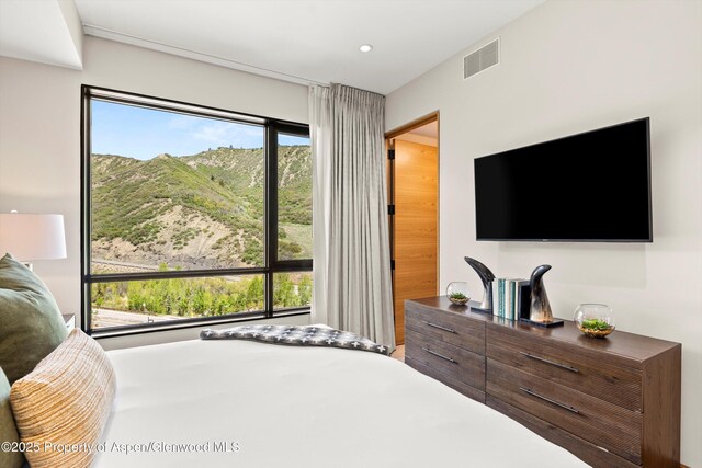 77 Wood Rd Unit 507-13, Snowmass Village, CO 81615 - view of bedroom