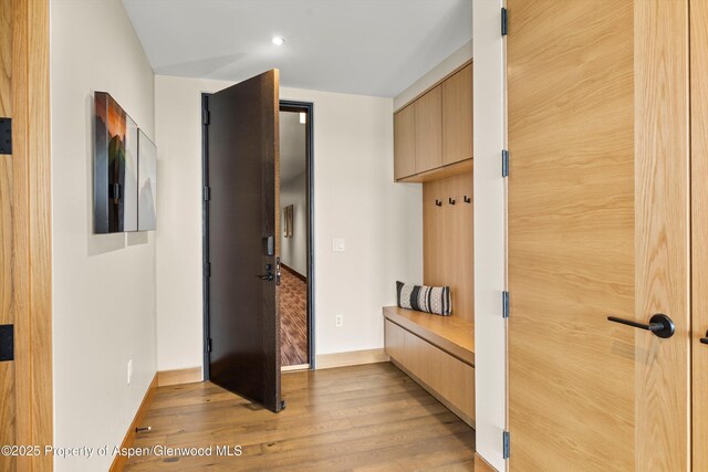 77 Wood Rd Unit 507-13, Snowmass Village, CO 81615 - mudroom with light wood-style floors, baseboards, and recessed lighting
