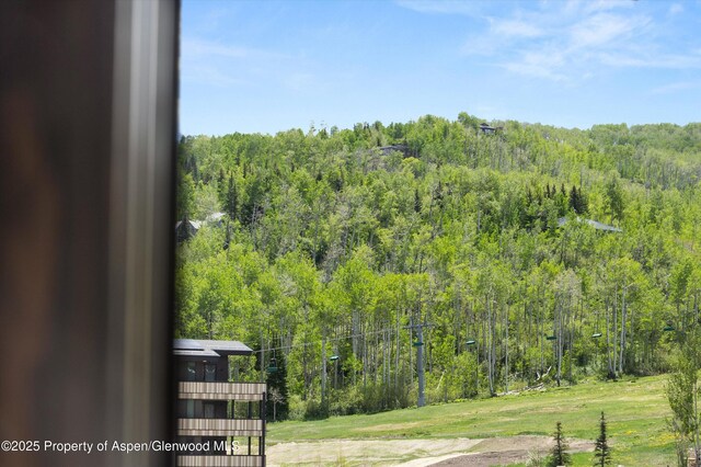 77 Wood Rd Unit 507-13, Snowmass Village, CO 81615 - view of mountain background with a heavily wooded area