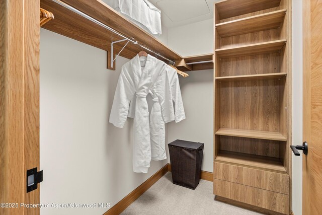 77 Wood Rd Unit 507-13, Snowmass Village, CO 81615 - spacious closet featuring carpet