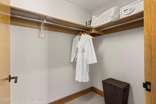 77 Wood Rd Unit 507-13, Snowmass Village, CO 81615 - spacious closet with carpet flooring