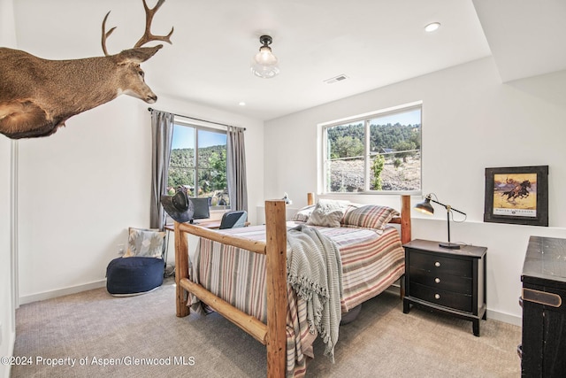 view of carpeted bedroom