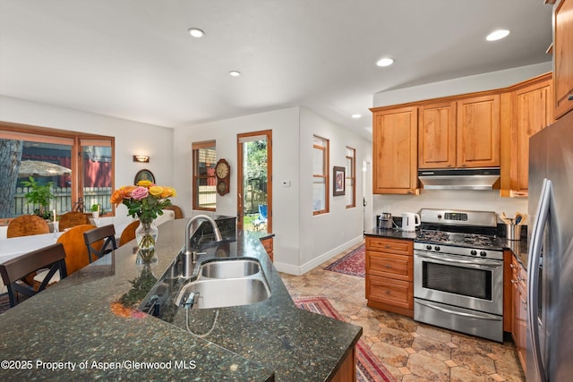 315 Summerset Ln Unit A, Basalt, CO 81621 - photo 6