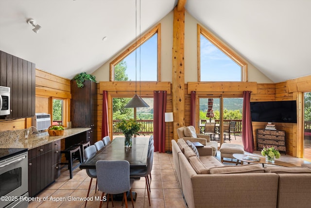 1436 Hooks Spur Rd, Basalt, CO 81621 - living room with high vaulted ceiling, wood walls, light tile patterned flooring, and cooling unit