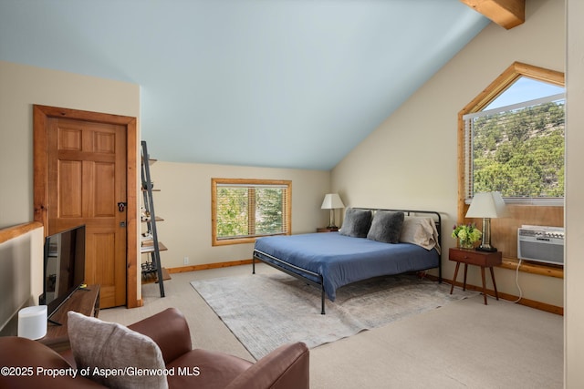 1436 Hooks Spur Rd, Basalt, CO 81621 - bedroom with carpet and cooling unit