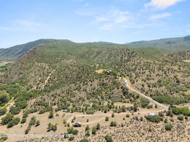 1436 Hooks Spur Rd, Basalt, CO 81621 - mountain view