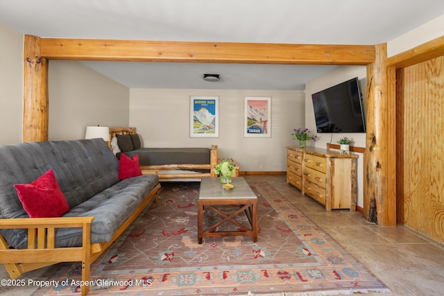 1436 Hooks Spur Rd, Basalt, CO 81621 - living room featuring beam ceiling and baseboards