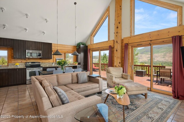 1436 Hooks Spur Rd, Basalt, CO 81621 - living area featuring a high ceiling, light tile patterned floors, and wooden walls
