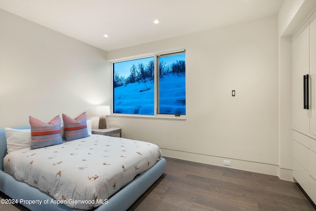 bedroom with dark hardwood / wood-style floors