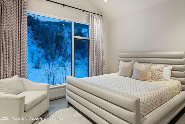 387 Branding Ln, Snowmass Village, CO 81615 - bedroom with vaulted ceiling