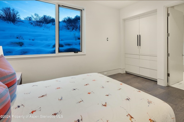 bedroom featuring dark wood-type flooring and a closet