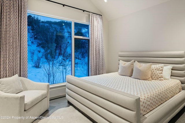 bedroom with lofted ceiling