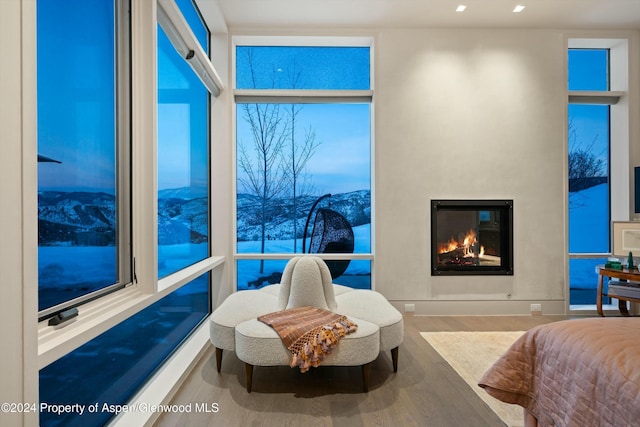 387 Branding Ln, Snowmass Village, CO 81615 - bedroom featuring wood finished floors, a glass covered fireplace, and floor to ceiling windows
