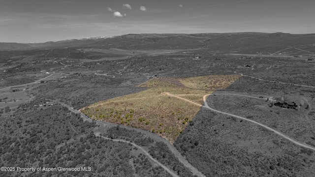 369 Park Mesa Rd, Carbondale, CO 81623 - photo 8