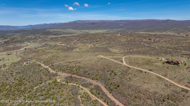 369 Park Mesa Rd, Carbondale, CO 81623 - photo 6