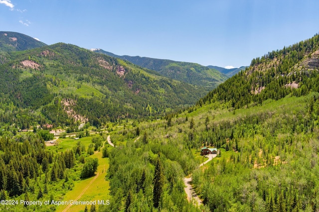 450 Coal Creek Rd, Redstone, CO 81623 - mountain view featuring a forest view